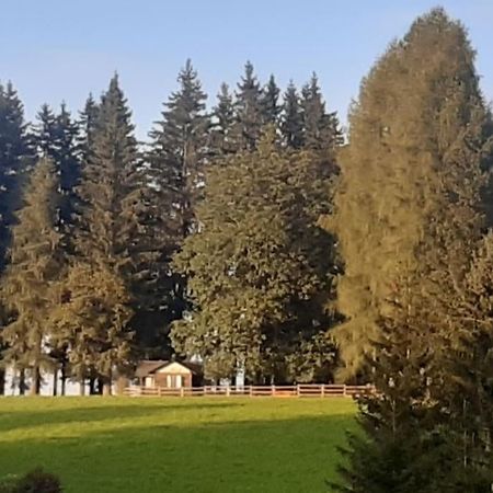 Almhuette Villa Waldenstein  Eksteriør billede