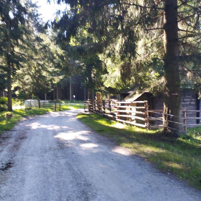 Almhuette Villa Waldenstein  Eksteriør billede