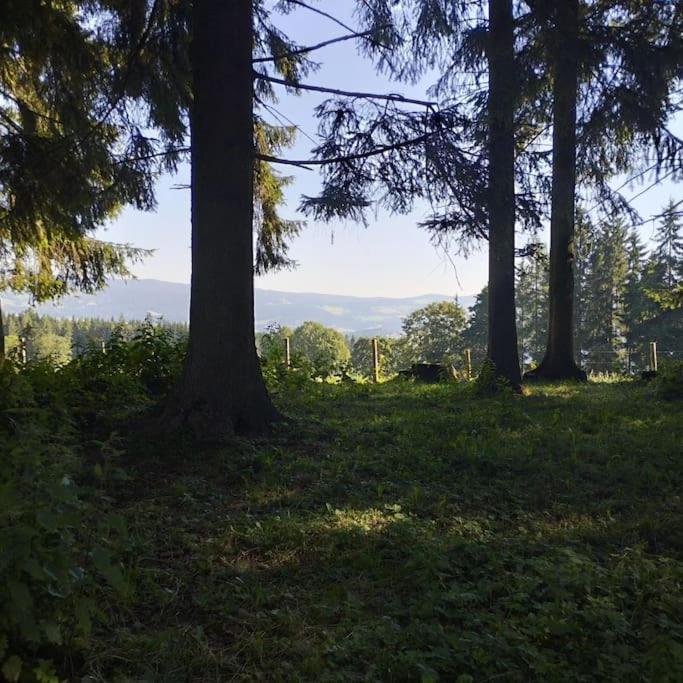 Almhuette Villa Waldenstein  Eksteriør billede