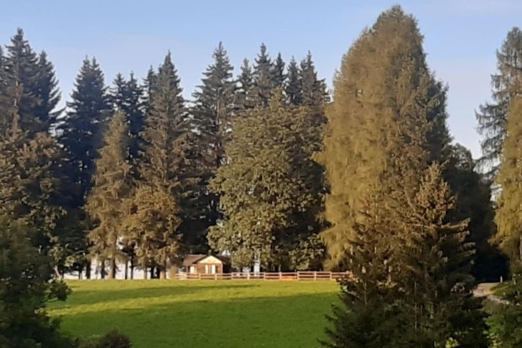 Almhuette Villa Waldenstein  Eksteriør billede